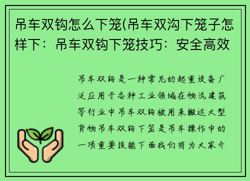 吊车双钩怎么下笼(吊车双沟下笼子怎样下：吊车双钩下笼技巧：安全高效的操作方法)